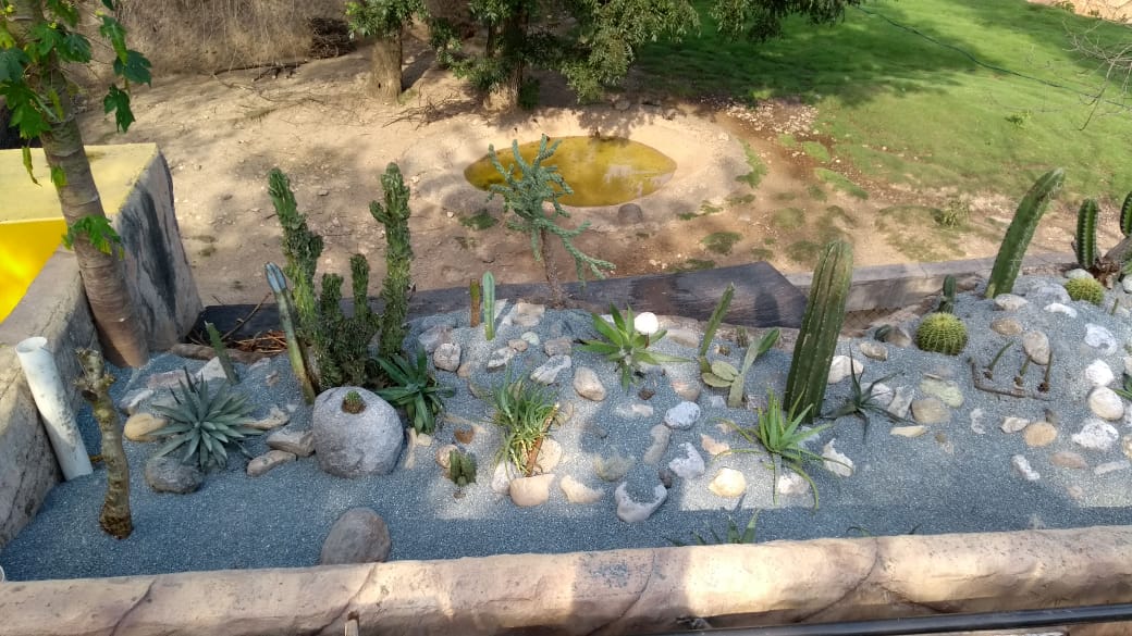 jardin de cactaceas.jpg